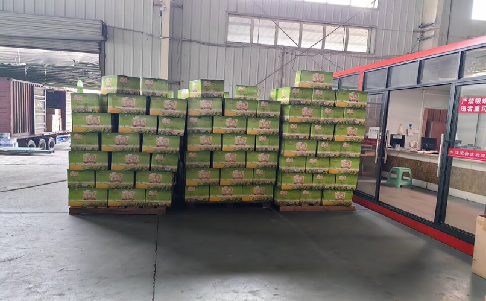 成都到西華貨運公司